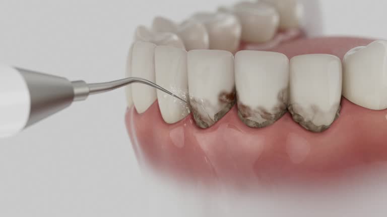 Reliable Dental contractor in Brandywine Bay, NC by Dentist Open Now